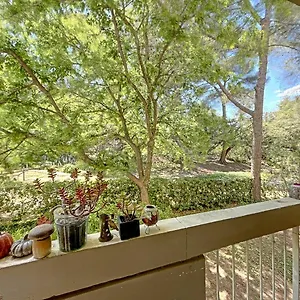  Appartement Roy D'espagne
